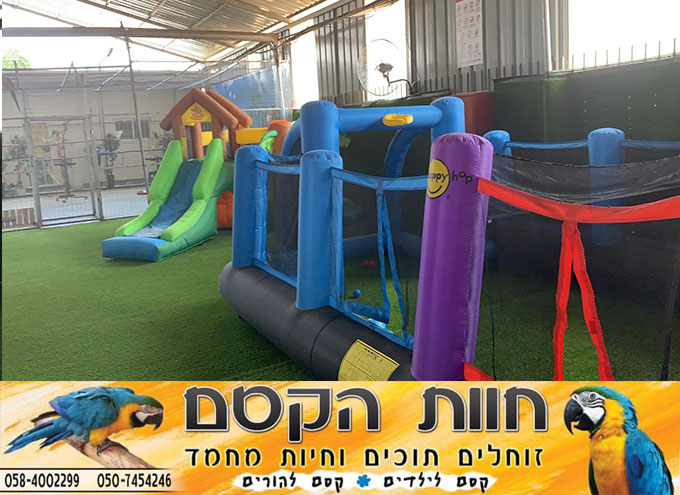 جديد في كفر قاسم - חוות הקסם